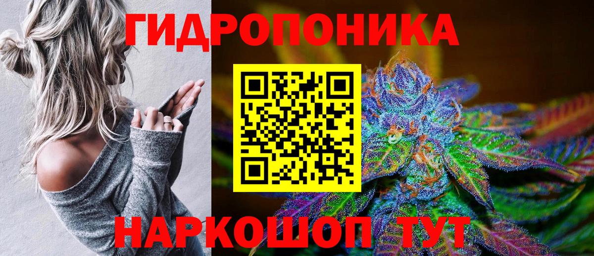 Каннабис гибрид Калач-на-Дону